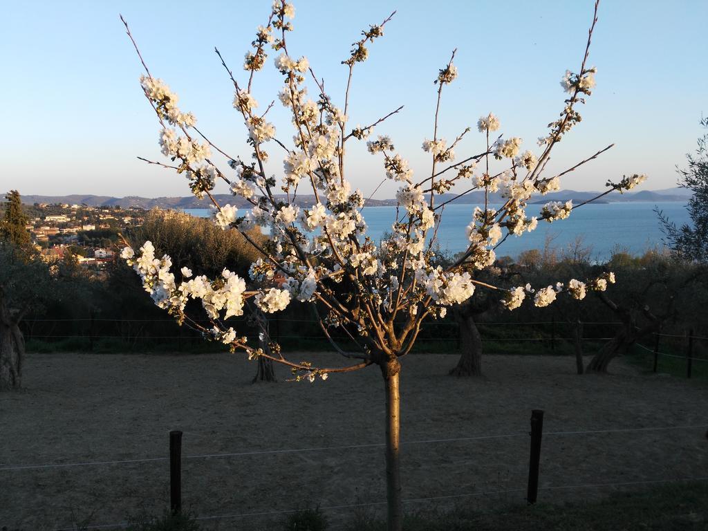 Aparthotel Antico Casale Tiravento à Passignano sul Trasimeno Extérieur photo