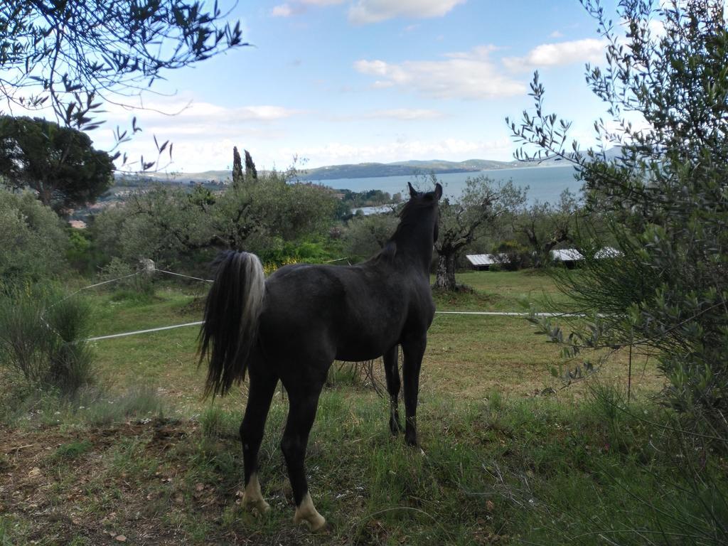 Aparthotel Antico Casale Tiravento à Passignano sul Trasimeno Extérieur photo