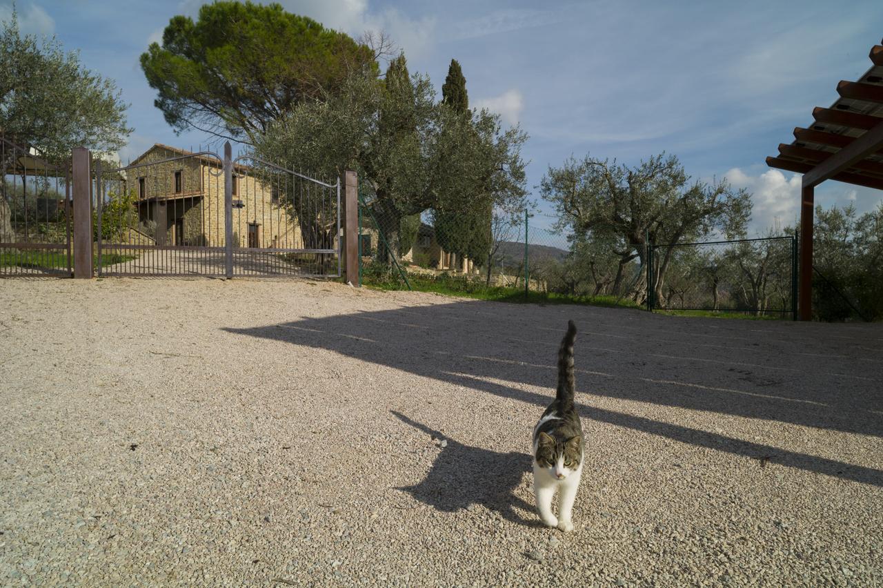 Aparthotel Antico Casale Tiravento à Passignano sul Trasimeno Extérieur photo